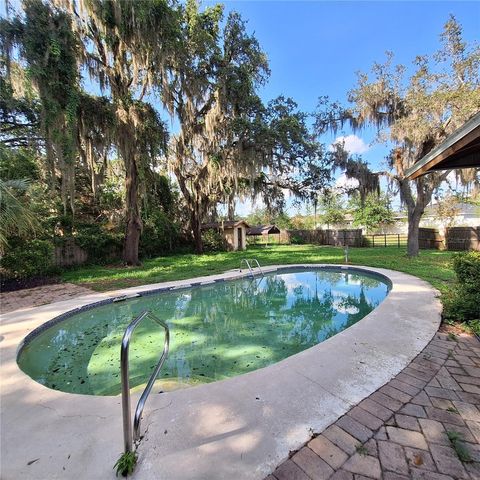 10012 LAKE LOUISA ROAD, Clermont, FL 34711