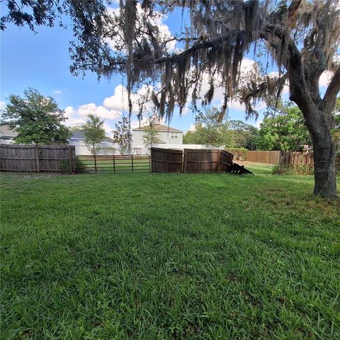 10012 LAKE LOUISA ROAD, Clermont, FL 34711