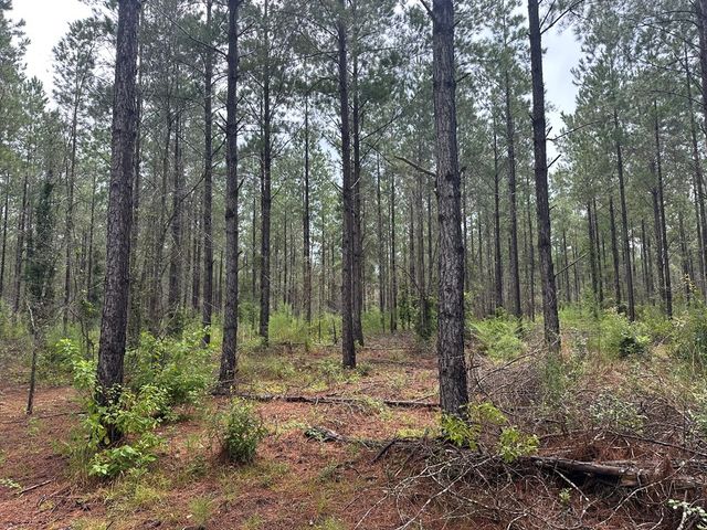 00 Decatur Road, Cottonwood, AL 36320