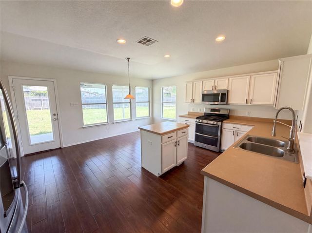 12816 Wooly Bucket CV, Elgin, TX 78621