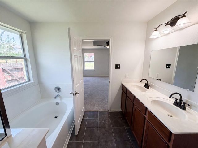 12816 Wooly Bucket CV, Elgin, TX 78621