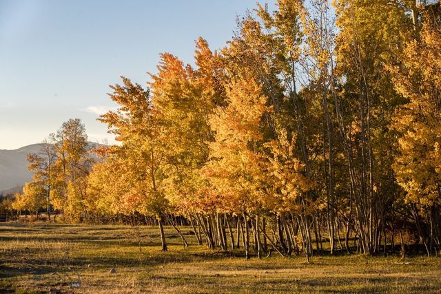 3007 Coyote Creek, Dillon, MT 59725