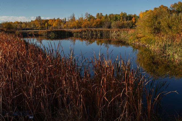 3007 Coyote Creek, Dillon, MT 59725