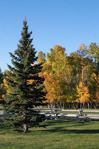 3007 Coyote Creek, Dillon, MT 59725