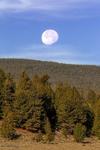 3007 Coyote Creek, Dillon, MT 59725