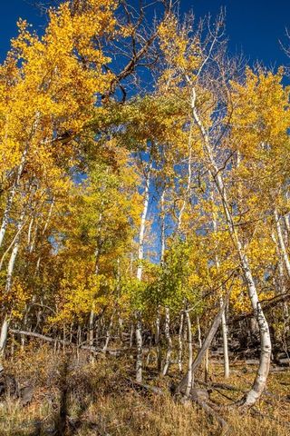 3007 Coyote Creek, Dillon, MT 59725