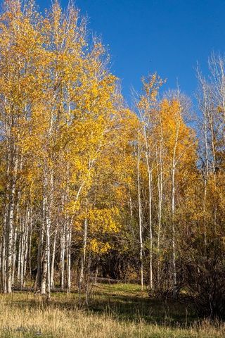 3007 Coyote Creek, Dillon, MT 59725