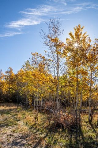 3007 Coyote Creek, Dillon, MT 59725