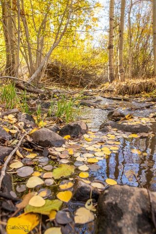 3007 Coyote Creek, Dillon, MT 59725