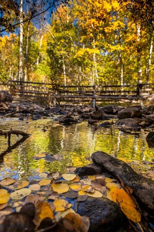 3007 Coyote Creek, Dillon, MT 59725 photo 10