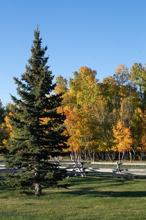 3007 Coyote Creek, Dillon, MT 59725 photo 22