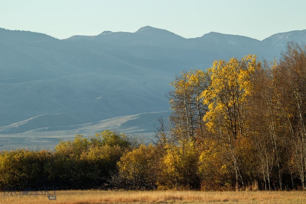 3007 Coyote Creek, Dillon, MT 59725 photo 7