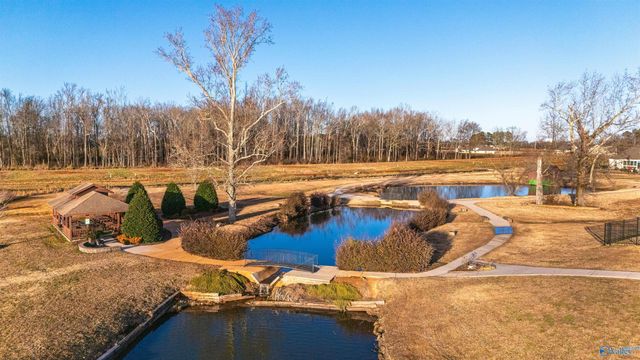17536 Windermere Drive, Athens, AL 35611