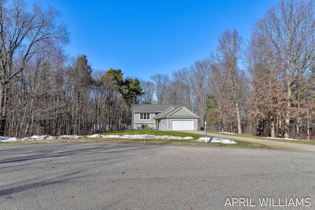 6919 Pinestead Court, Allendale, MI 49401