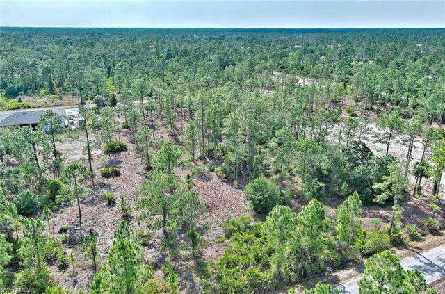 317 Fitch AVE, Lehigh Acres, FL 33936