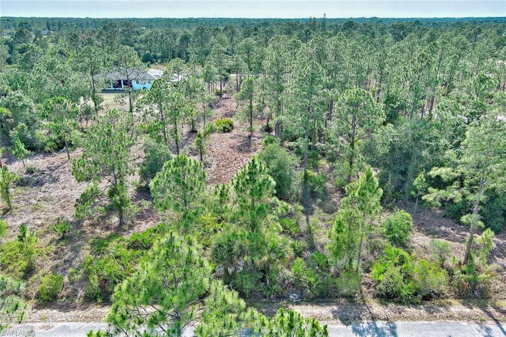 317 Fitch AVE, LEHIGH ACRES, FL 33936 — photo 4