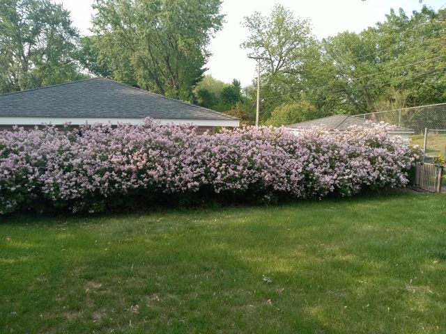 3210 W 110th Street, Bloomington, MN 55431