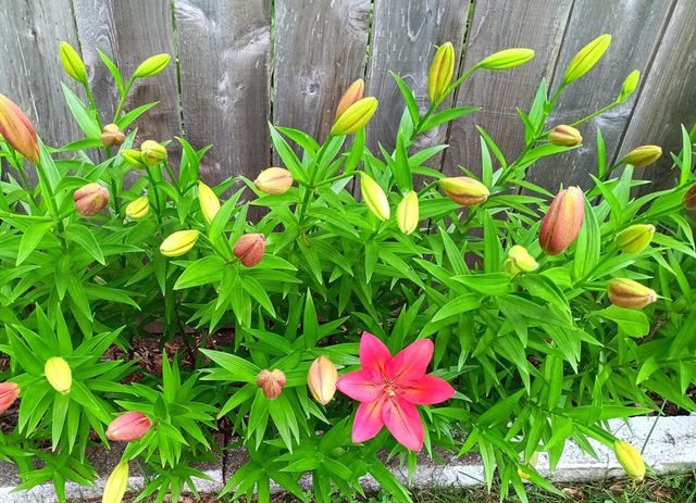 3210 W 110th Street, Bloomington, MN 55431