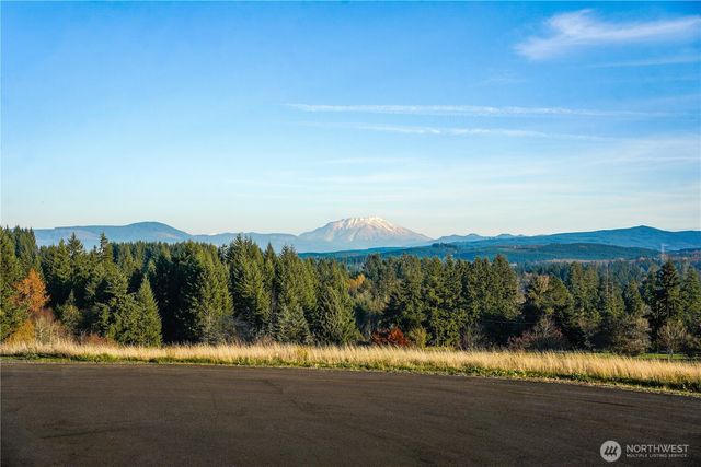 161 Cooper Hill Court, Castle Rock, WA 98611