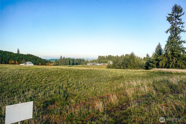 161 Cooper Hill Court, Castle Rock, WA 98611