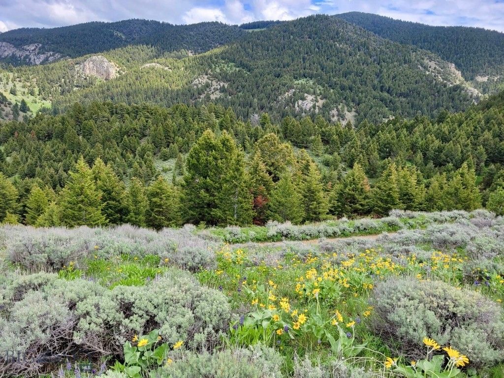 Lot 429 TBD Skyline Road, Three Forks, MT 59752 photo 7