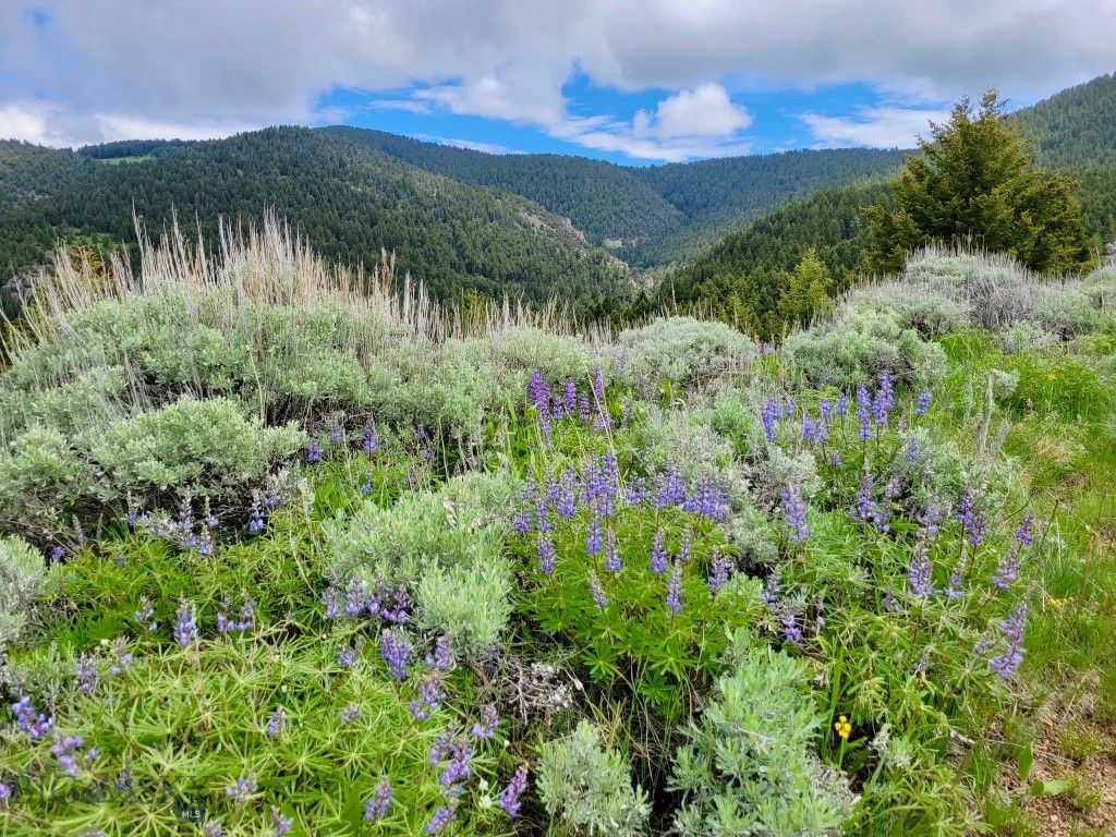 Lot 429 TBD Skyline Road, Three Forks, MT 59752 photo 8