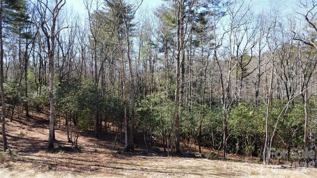 000 Bulling Creek Road, Hendersonville, NC 28739