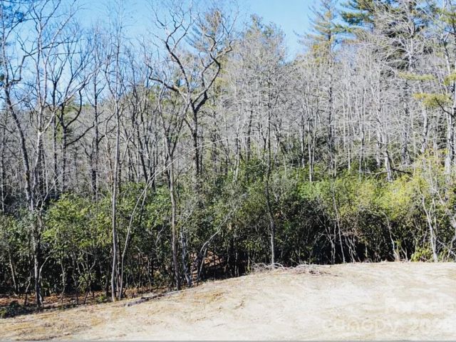 000 Bulling Creek Road, Hendersonville, NC 28739