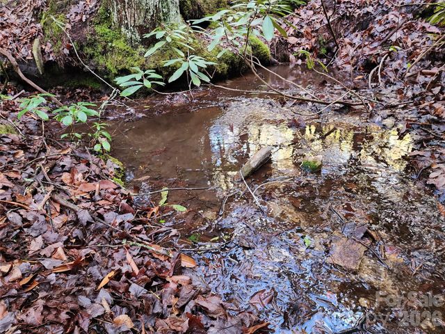 000 Bulling Creek Road, Hendersonville, NC 28739