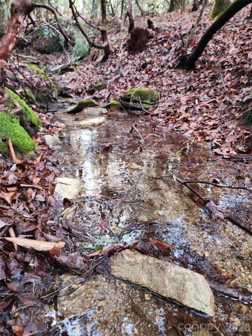 000 Bulling Creek Road, Hendersonville, NC 28739