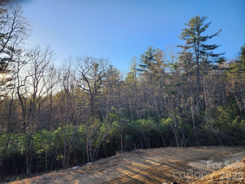 000 Bulling Creek Road, Hendersonville, NC 28739
