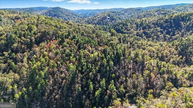1666 Hunter Drive, Ranger, GA 30734