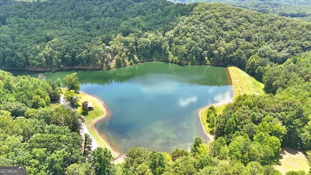 1666 Hunter Drive, Ranger, GA 30734