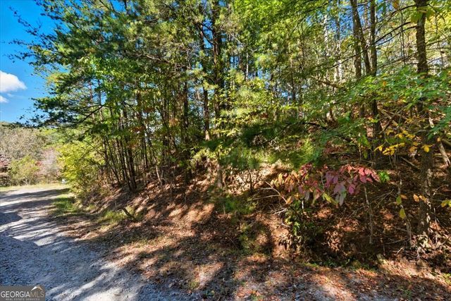 1666 Hunter Drive, Ranger, GA 30734