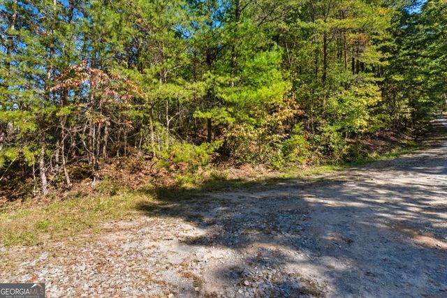 1666 Hunter Drive, Ranger, GA 30734
