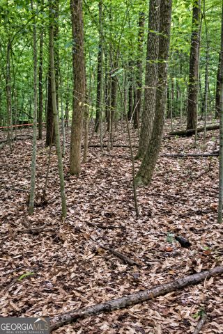 555 Vaughn Road, Newnan, GA 30265