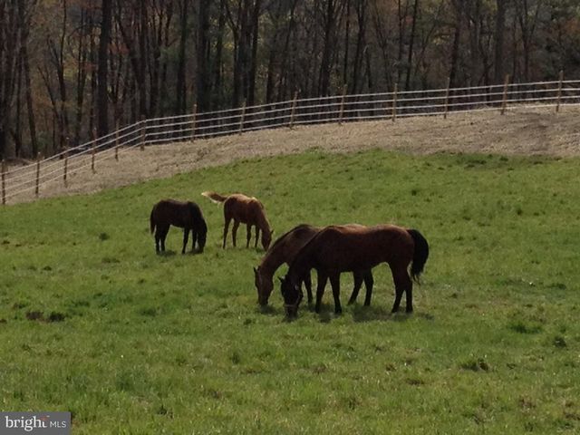1480 SUMMER HILL RD, Auburn, PA 17922