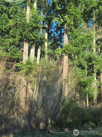 0 Clinton Road, Chehalis, WA 98532