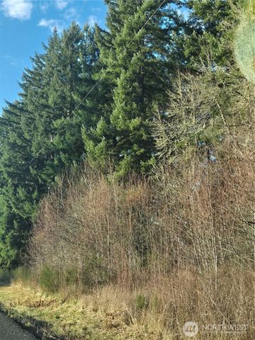 0 Clinton Road, Chehalis, WA 98532