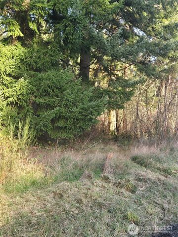 0 Clinton Road, Chehalis, WA 98532