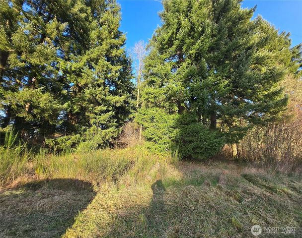 0 Clinton Road, Chehalis, WA 98532