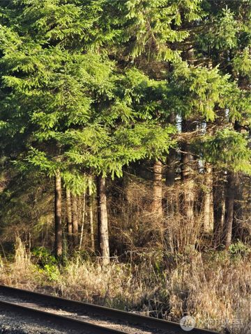 0 Clinton Road, Chehalis, WA 98532