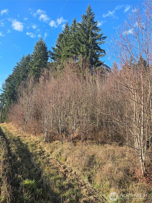 0 Clinton Road, Chehalis, WA 98532