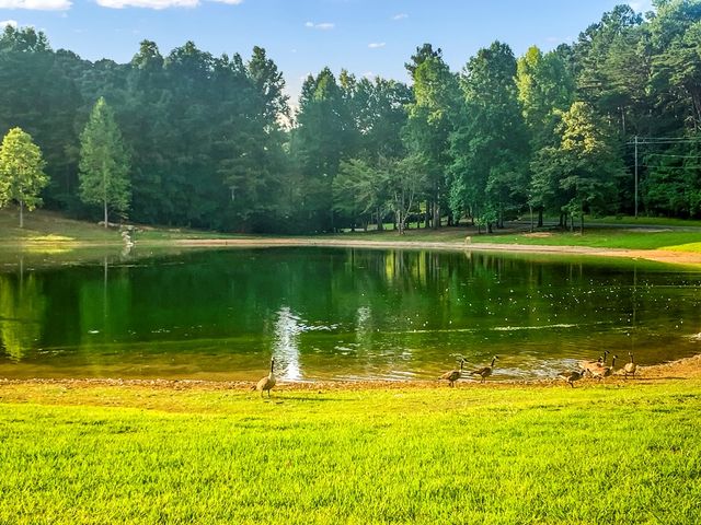 1269 Hunter Drive, Ranger, GA 30734