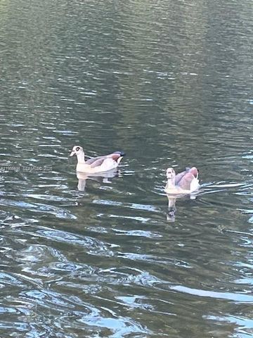 16465 NE 22nd Ave 118, North Miami Beach, FL 33160