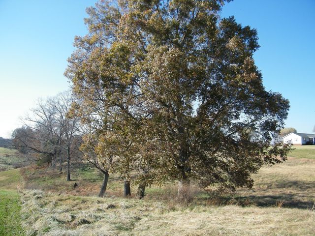 18B Galen Road, Lafayette, TN 37083