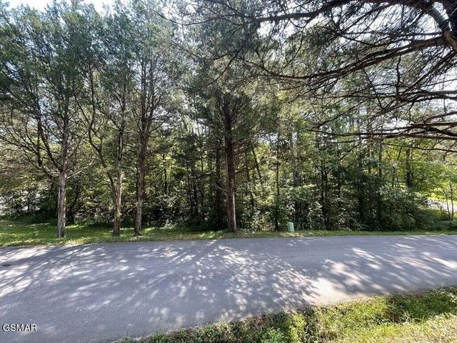 Lot 0000 Dyke 9 Road, Sevierville, TN 37876