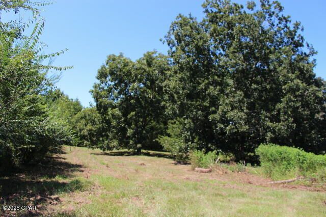 1538 N Highway 79, Bonifay, FL 32425