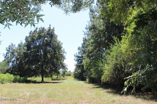 1538 N Highway 79, Bonifay, FL 32425