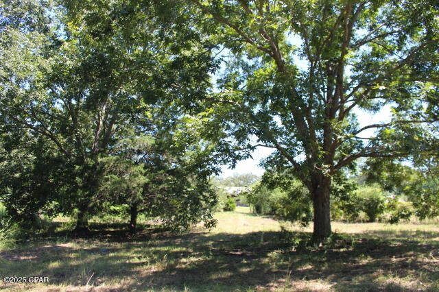 1538 N Highway 79, Bonifay, FL 32425